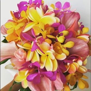 Meet your Posher, Minya